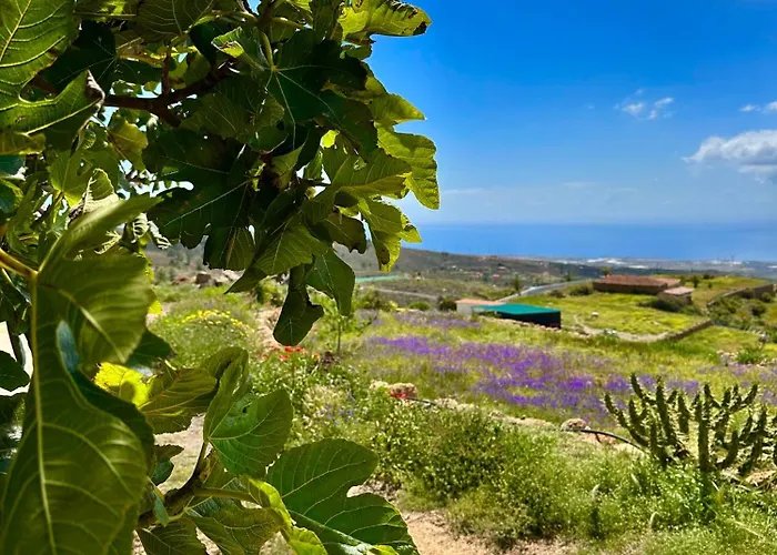 Casitas - Casa Higo Vakantiehuis *